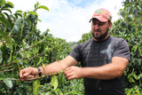Honduran Las Tres Penas