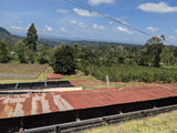 Kenyan Nyeri Gathaithi