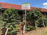 Kenyan Nyeri Gathaithi